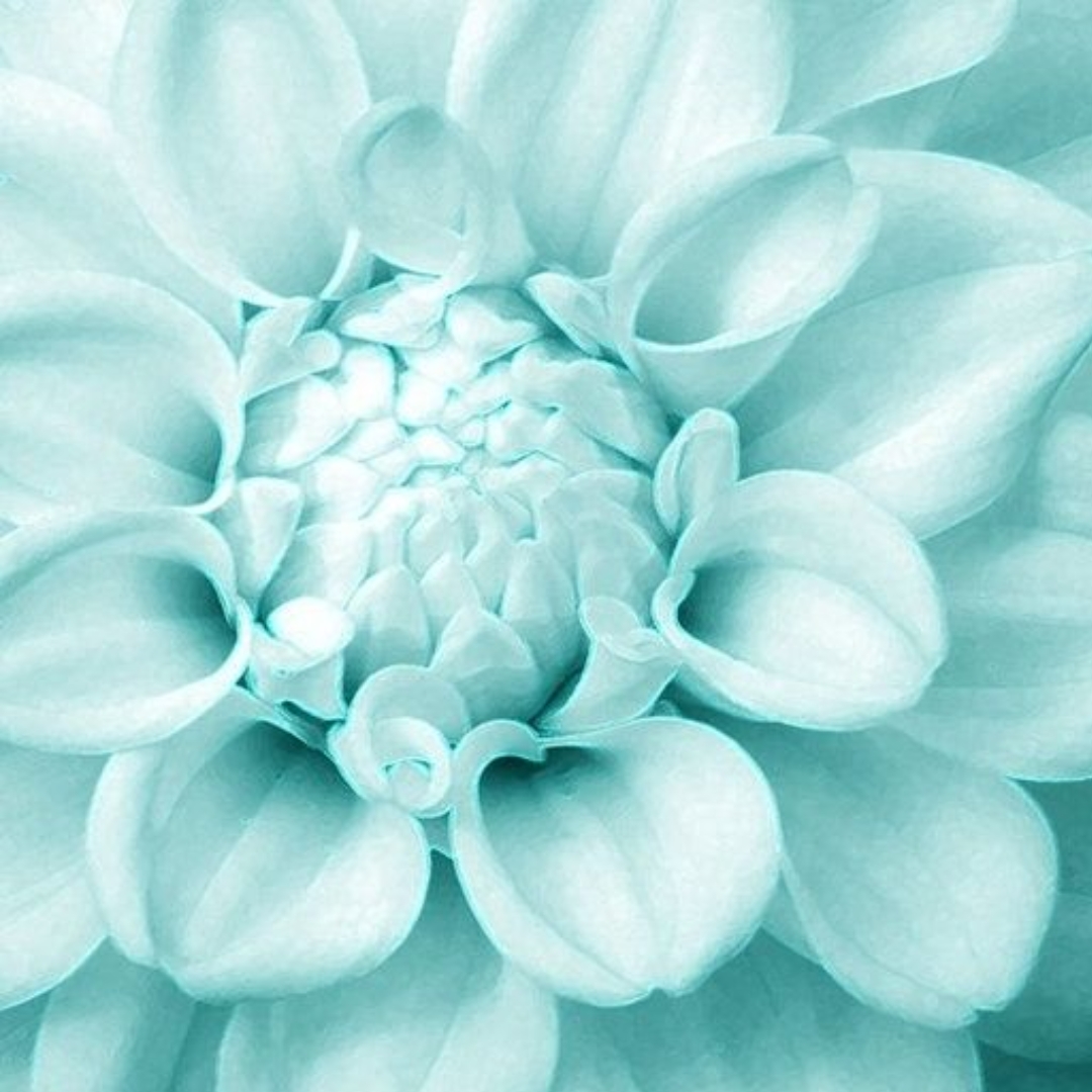 Aqua Fragrances